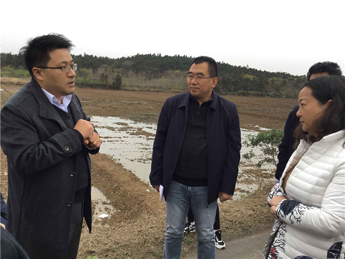 GIE)4OKB8[G5990GP_15HCW_副本