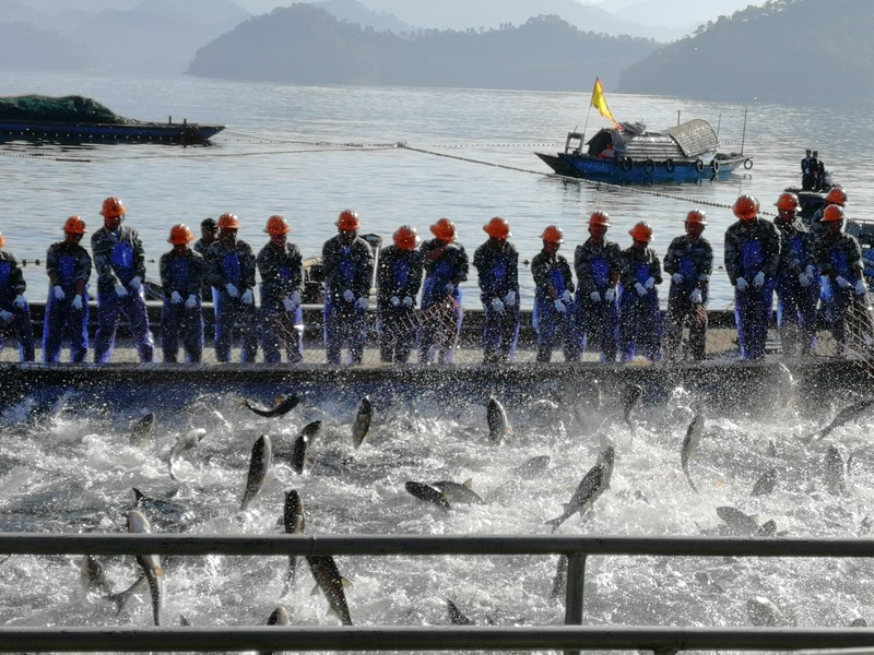 微信图片_20181204165740 微信图片_20181204165740