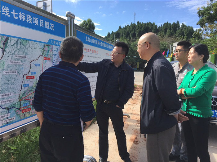 森投公司负责人向公司党委副书记、纪委书记张伟介绍丹景台项目情况_副本