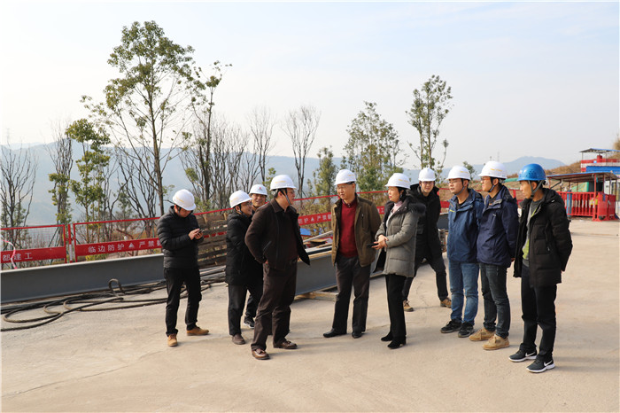 20190123党委副书记、纪委书记张伟率队赴丹景台项目开展节前安全检查