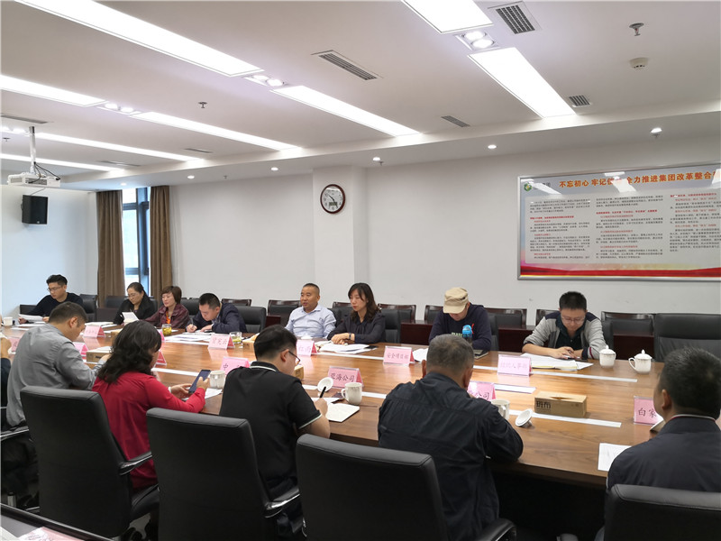 集团公司召开2019年三季度项目投资工作分析会