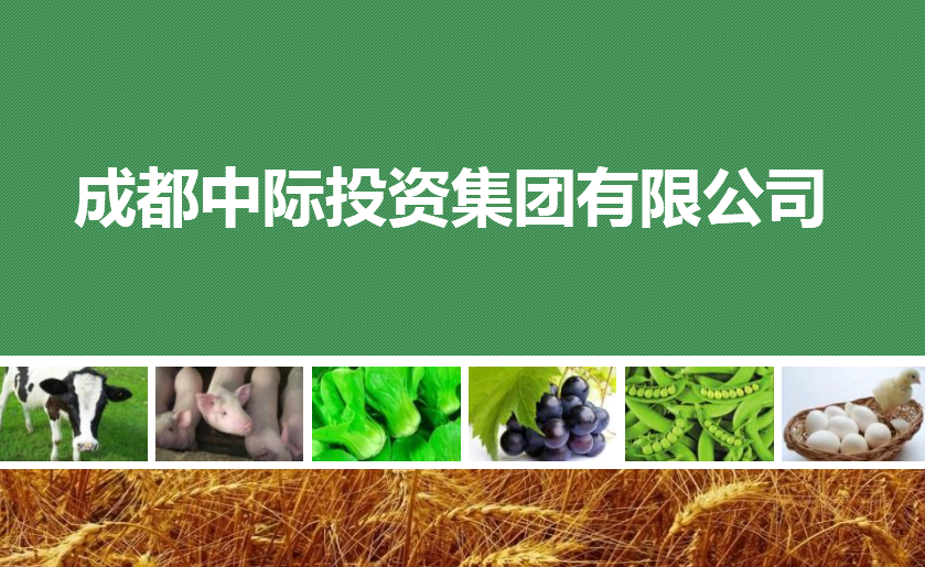 20191119-中际公司-中际公司完成集团化工商变更登记 20191119-中际公司-中际公司完成集团化工商变更登记