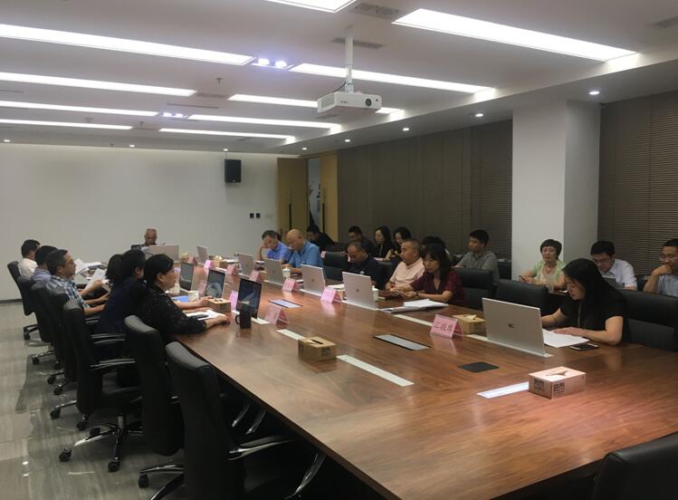 建设工作领导小组2019年 第一次专题会议