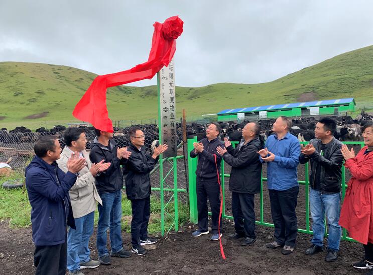 刘旭光副市长调研中际曙光牧业公司 刘旭光副市长调研中际曙光牧业公司