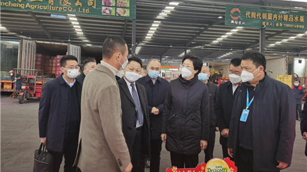 省委常委、市委书记施小琳调研四川国际农产品交易中心