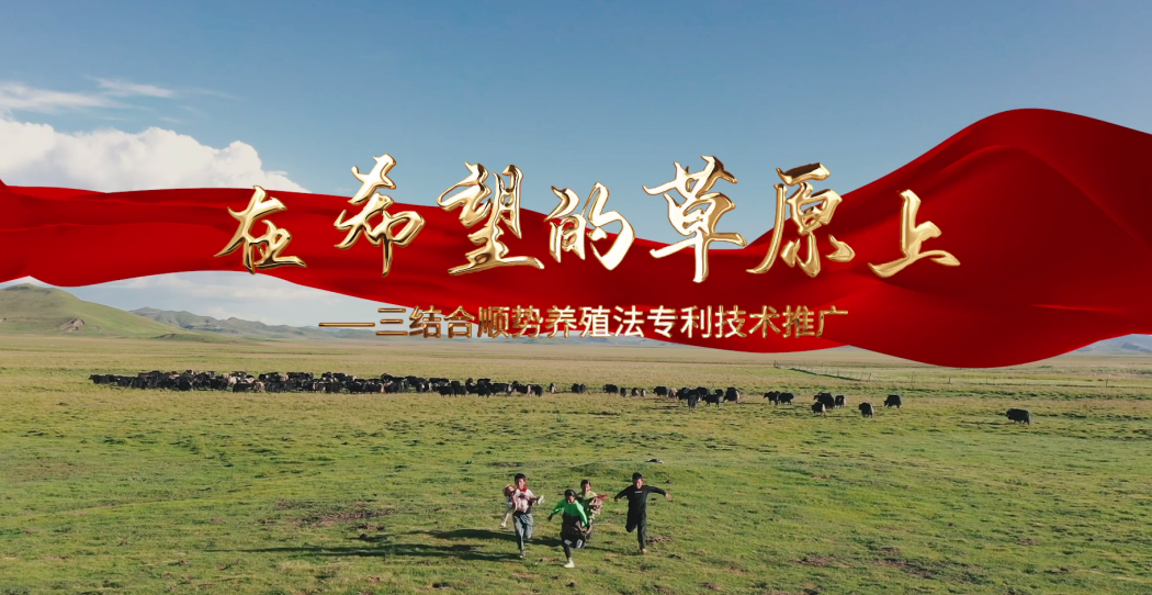 QQ截图20231026140916