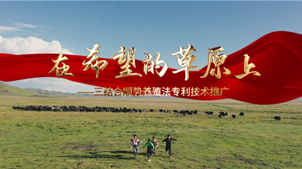 中际集团培训片《在希望的草原上》荣获四川省党员教育电视片二等奖