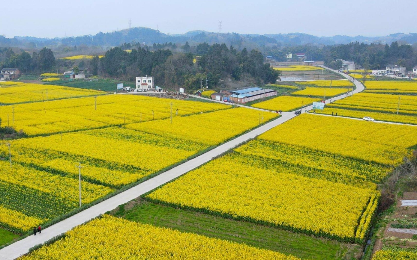 微信截图_20240314114638 微信截图_20240314114638