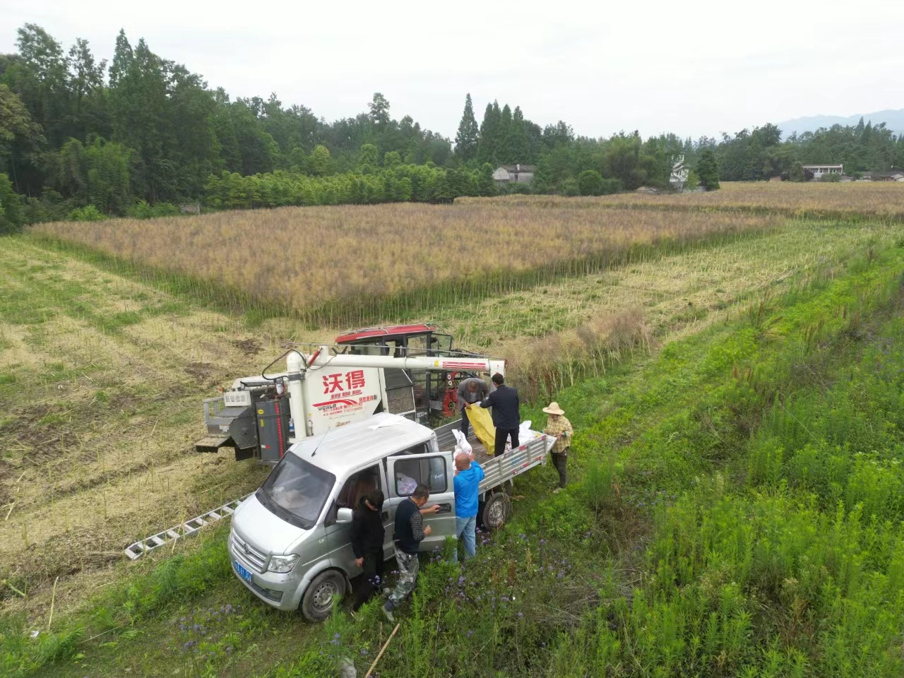 QQ图片20240308095123