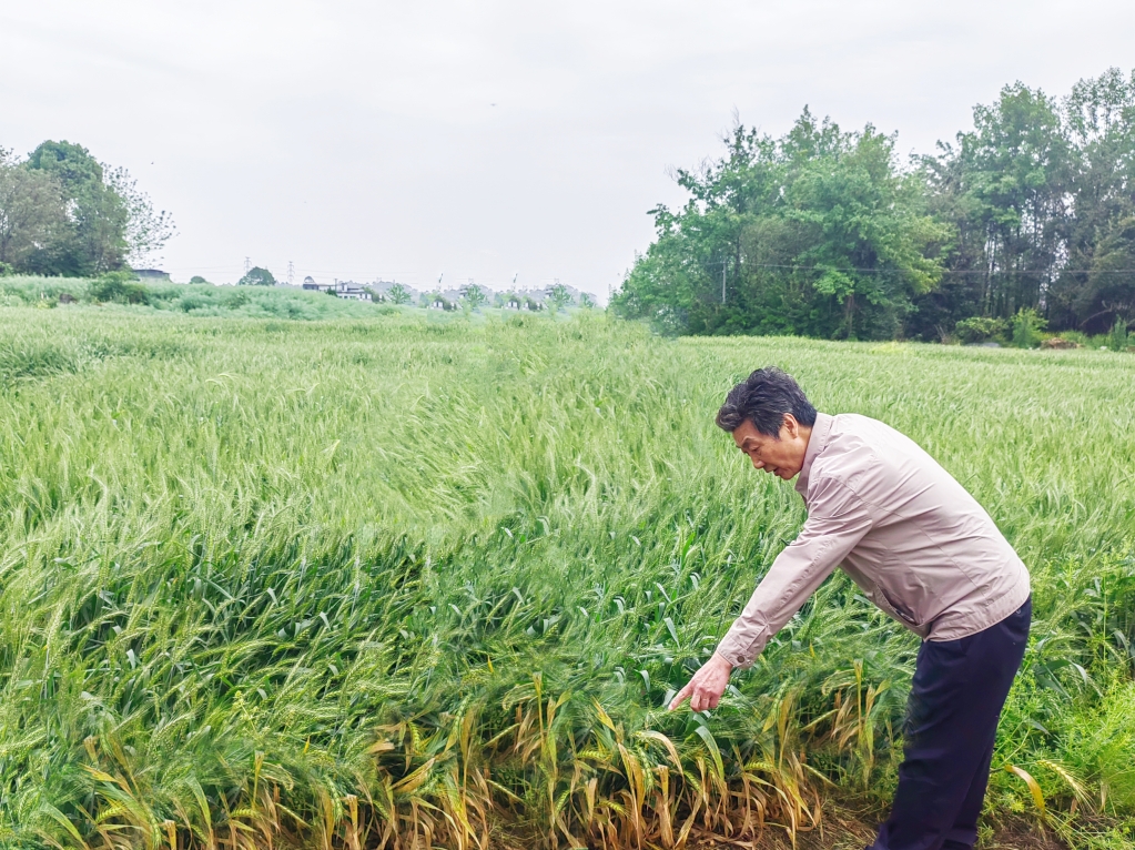 微信截图_20240415162622 微信截图_20240415162622