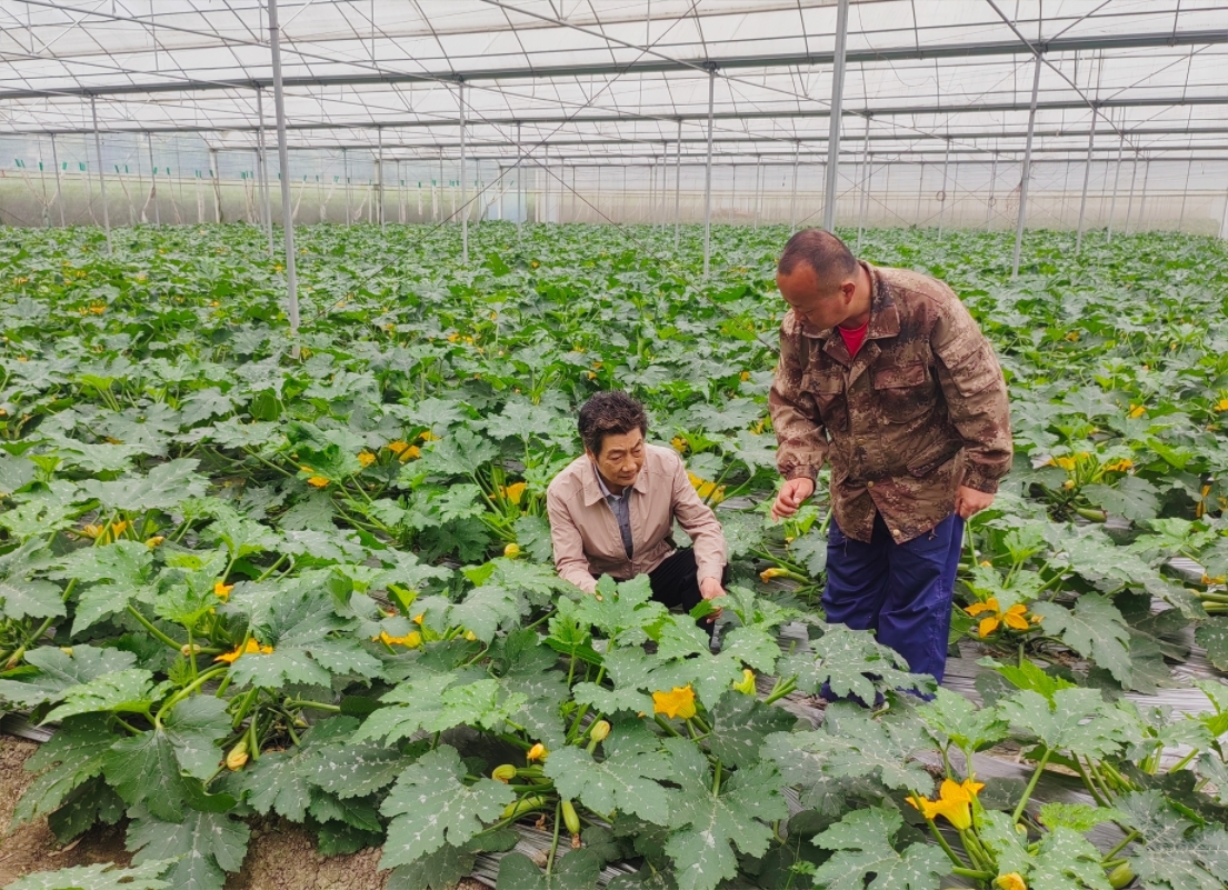 微信截图_20240415162643 微信截图_20240415162643