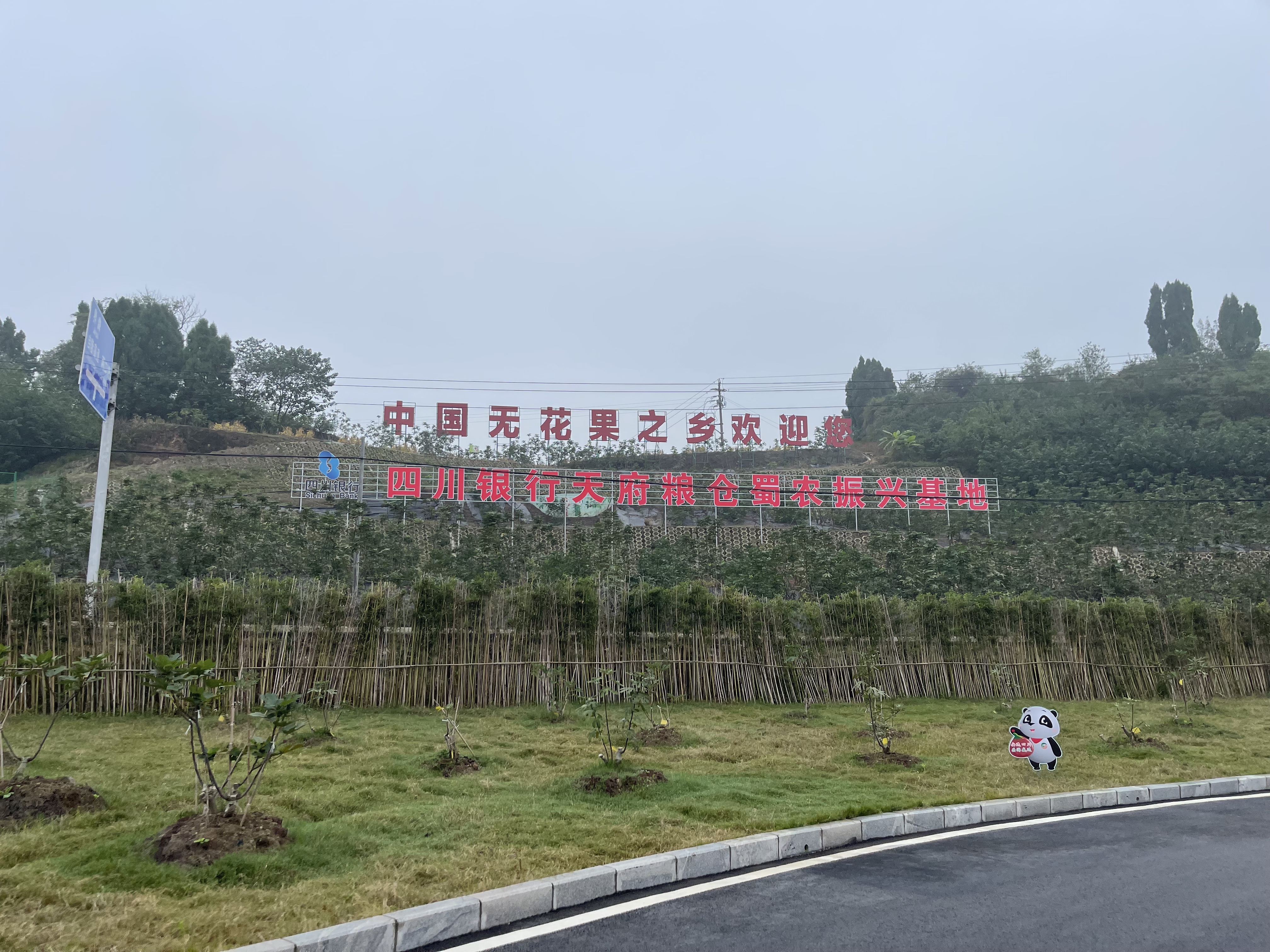 2024021202  信息照片.png